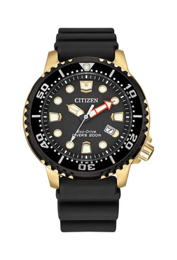 Citizen Gents Eco-Drive Promaster 200M Diver Strap Watch