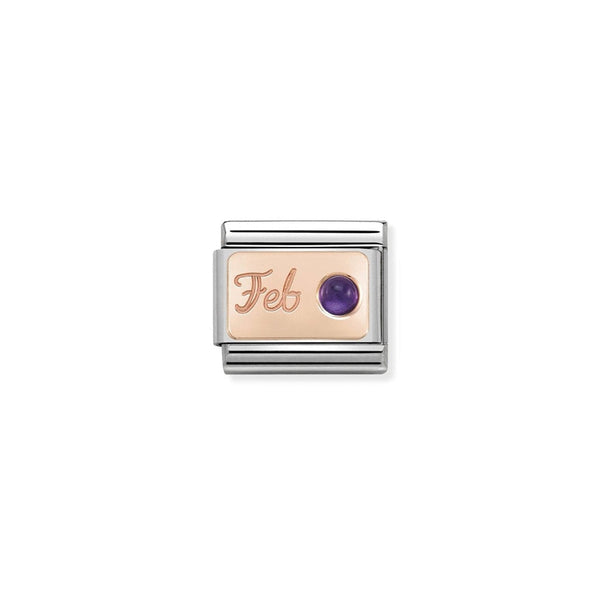 Nomination Composable Classic Link STONE of MONTH FEBRUARY AMETHYST in Stainless Steel & Gold 375