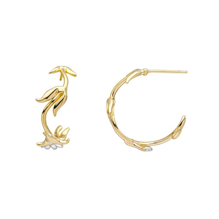 Laura Ashley Camelot Hoop Earrings Gold Plated