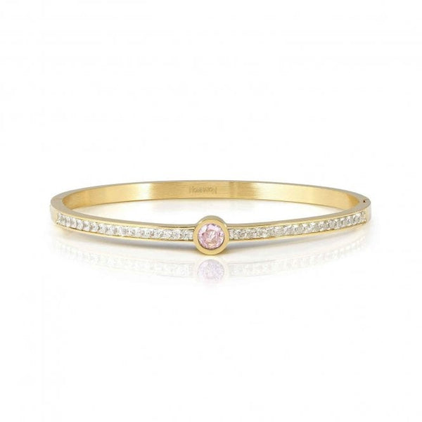 Nomination Pretty Bangles Pink Central CZ With Pave` CZ Stainless Steel Gold Plated