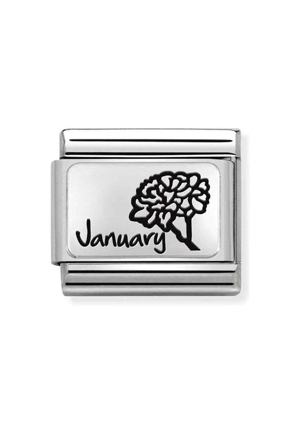 Nomination Composable Classic Link Month Flower Plate January in Silver